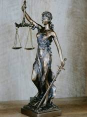 maximus ligula